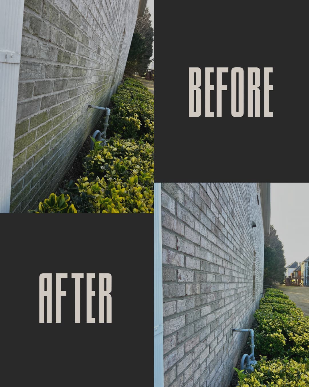 Before & After photo 82